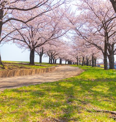 東京 赤羽周辺のおすすめカプセルホテル 女性人気が高い格安宿もご紹介 おすすめ旅行を探すならトラベルブック Travelbook 東京 赤羽周辺のおすすめカプセルホテル 女性人気が高い格安宿もご紹介 おすすめ旅行を探すならトラベルブック Travelbook