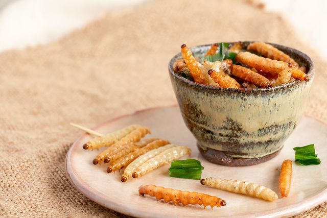 通販で購入可能なおすすめの昆虫食10選*人気商品を比較
