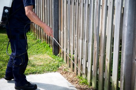 イエヒメアリの駆除はできる 生態から駆除方法まで紹介します トラブルブック イエヒメアリの駆除はできる 生態から駆除方法まで紹介します トラブルブック
