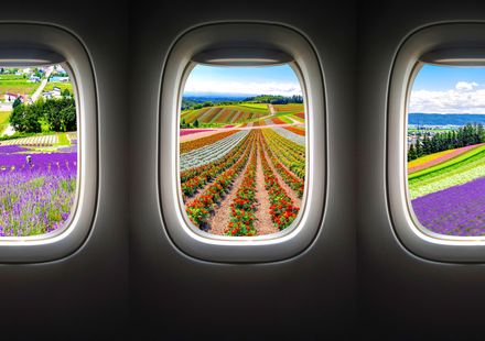 北海道 富良野の高級ホテル5選 おすすめ人気宿もご紹介 おすすめ旅行を探すならトラベルブック Travelbook 北海道 富良野の高級ホテル5選 おすすめ人気宿もご紹介 おすすめ旅行を探すならトラベルブック Travelbook