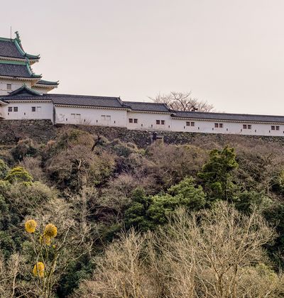 和歌山市の旅館 おすすめ格安の宿泊施設を厳選してご紹介 おすすめ旅行を探すならトラベルブック Travelbook 和歌山市の旅館 おすすめ格安の宿泊施設を厳選してご紹介 おすすめ旅行を探すならトラベルブック Travelbook