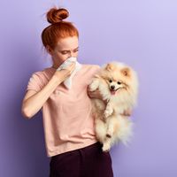 ペット キツネの飼い方 種類 寿命 値段まとめ 自分らしい便利な暮らしを トラベルブック Travelbook ペット キツネの飼い方 種類 寿命 値段まとめ 自分らしい便利な暮らしを トラベルブック Travelbook
