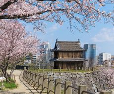 京都 舞鶴周辺でおすすめの観光地まとめ 海 山 川などの豊かな自然環境を堪能しよう おすすめ旅行を探すならトラベルブック Travelbook 京都 舞鶴周辺でおすすめの観光地まとめ 海 山 川などの豊かな自然環境を堪能しよう おすすめ旅行を探すならトラベルブック Travelbook
