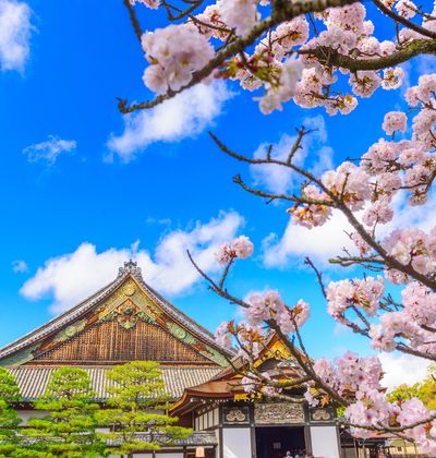 京都 二条城周辺のビジネスホテル選 格安なのに快適な宿をご紹介 おすすめ旅行を探すならトラベルブック Travelbook 京都 二条城周辺のビジネスホテル選 格安なのに快適な宿をご紹介 おすすめ旅行を探すならトラベルブック Travelbook