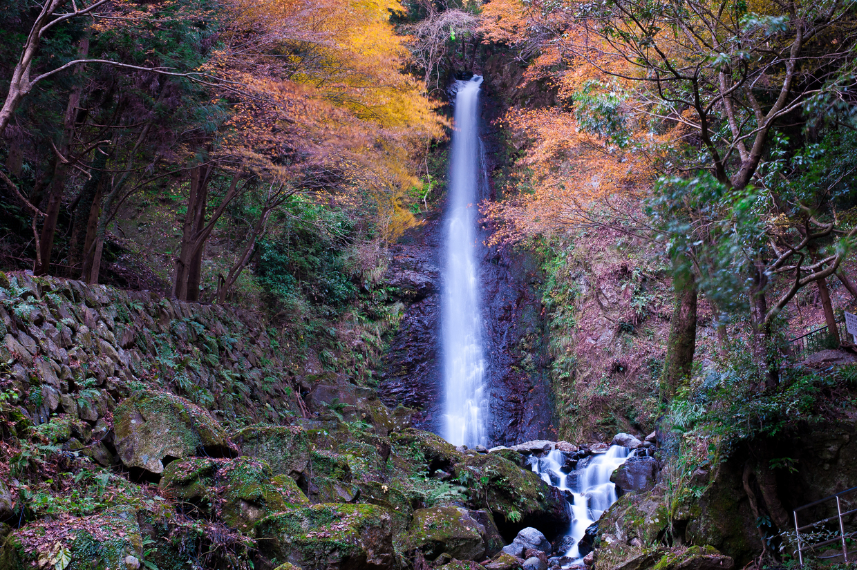 養老の旅館 リーズナブルな宿から高級宿までおすすめを厳選してご紹介 おすすめ旅行を探すならトラベルブック Travelbook