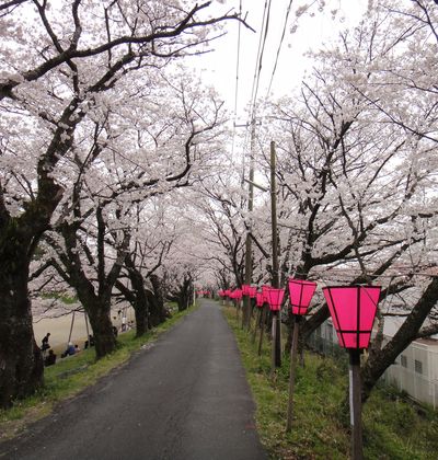 藤枝のホテル 宿泊だけじゃないランチやデイユースで利用できるおすすめ宿 おすすめ旅行を探すならトラベルブック Travelbook 藤枝のホテル 宿泊だけじゃないランチやデイユースで利用できるおすすめ宿 おすすめ旅行を探すならトラベルブック Travelbook