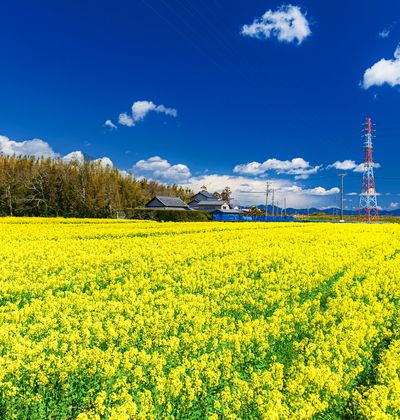磐田のホテル デイユースでも使える人気の格安宿を厳選してご紹介 おすすめ旅行を探すならトラベルブック Travelbook 磐田のホテル デイユースでも使える人気の格安宿を厳選してご紹介 おすすめ旅行を探すならトラベルブック Travelbook