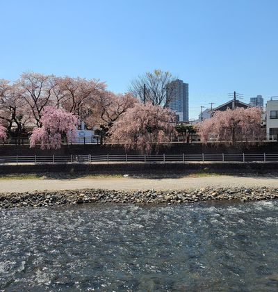 栃木 宇都宮周辺のおすすめホテル選 素泊まりにも最適な宿をご紹介 おすすめ旅行を探すならトラベルブック Travelbook 栃木 宇都宮周辺のおすすめホテル選 素泊まりにも最適な宿をご紹介 おすすめ旅行を探すならトラベルブック Travelbook