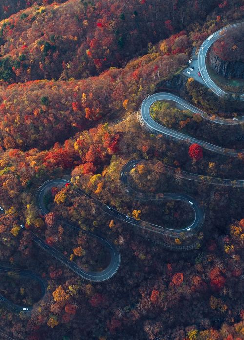 栃木 日光周辺の格安ホテル選 素泊まりにも最適な宿をご紹介 おすすめ旅行を探すならトラベルブック Travelbook