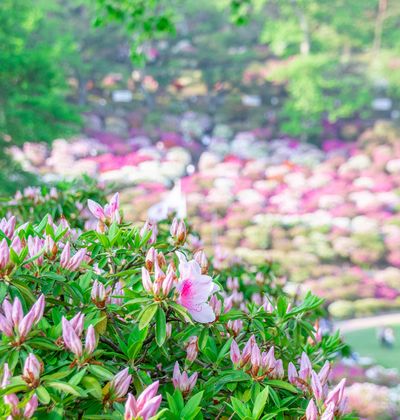 福井 鯖江 さばえ のホテル 格安で泊まれるおすすめの宿泊施設 おすすめ旅行を探すならトラベルブック Travelbook 福井 鯖江 さばえ のホテル 格安で泊まれるおすすめの宿泊施設 おすすめ旅行を探すならトラベルブック Travelbook