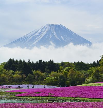 山梨 富士山周辺の旅館 人気ランキング上位のリーズナブルな宿から高級旅館まで おすすめ旅行を探すならトラベルブック Travelbook 山梨 富士山周辺の旅館 人気ランキング上位のリーズナブルな宿から高級旅館まで おすすめ旅行を探すならトラベルブック Travelbook