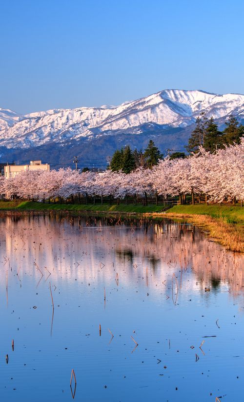 新潟のホテル おすすめの人気ホテルや格安の宿泊施設を紹介 おすすめ旅行を探すならトラベルブック Travelbook