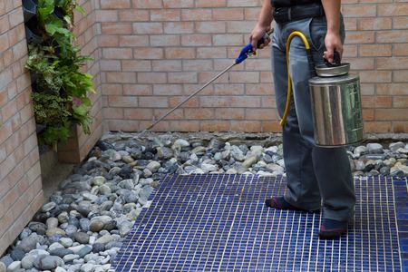 鳩駆除の費用相場 業者に依頼する場合の値段はいくらぐらい トラブルブック