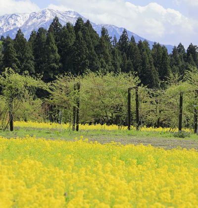 新潟 魚沼の旅館 人気温泉宿や子連れ カップルにおすすめの宿を紹介 おすすめ旅行を探すならトラベルブック Travelbook 新潟 魚沼の旅館 人気温泉宿や子連れ カップルにおすすめの宿を紹介 おすすめ旅行を探すならトラベルブック Travelbook