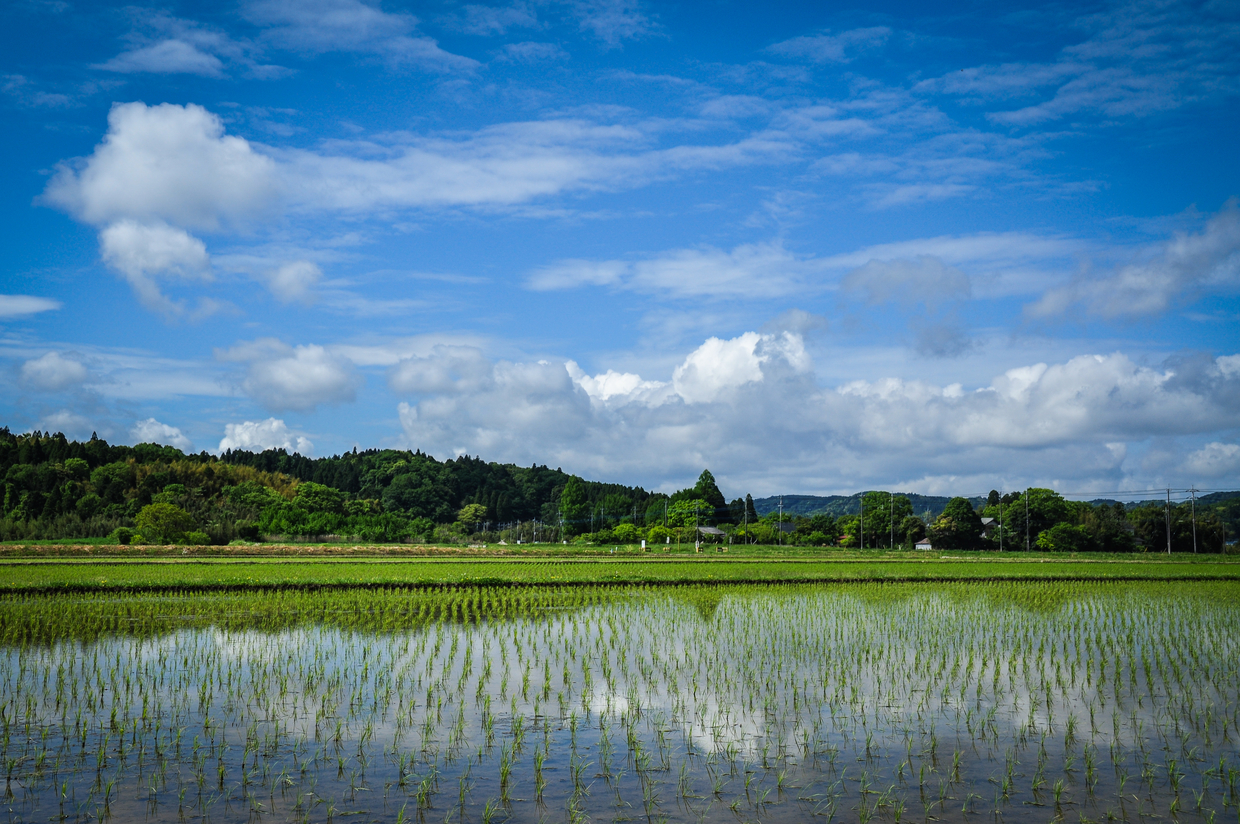 千葉 市川のホテル ネット予約でお安く泊まれるおすすめの人気宿泊施設をご紹介 おすすめ旅行を探すならトラベルブック Travelbook