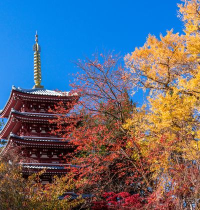 松戸の格安ホテル 素泊まり利用も人気のおすすめ宿泊施設を厳選してご紹介 おすすめ旅行を探すならトラベルブック Travelbook 松戸の格安ホテル 素泊まり利用も人気のおすすめ宿泊施設を厳選してご紹介 おすすめ旅行を探すならトラベルブック Travelbook