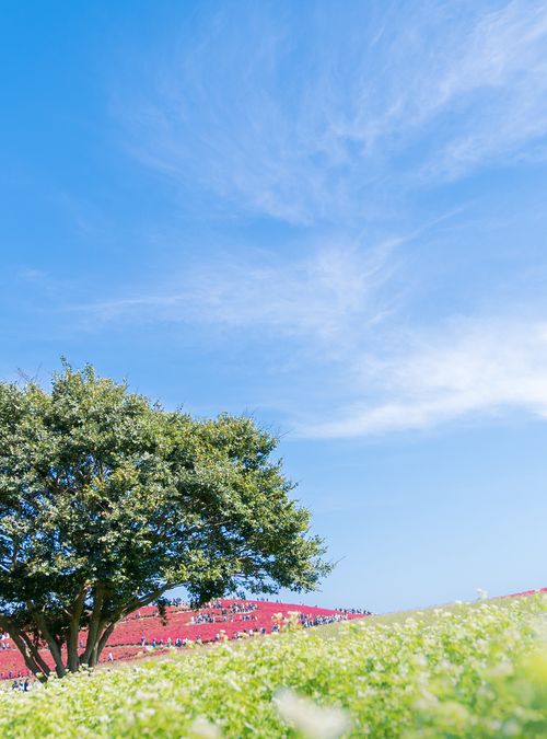 茨城のホテル カップル旅行にもおすすめのプールや温泉で楽しめる人気の宿泊施設をご紹介 おすすめ旅行を探すならトラベルブック Travelbook