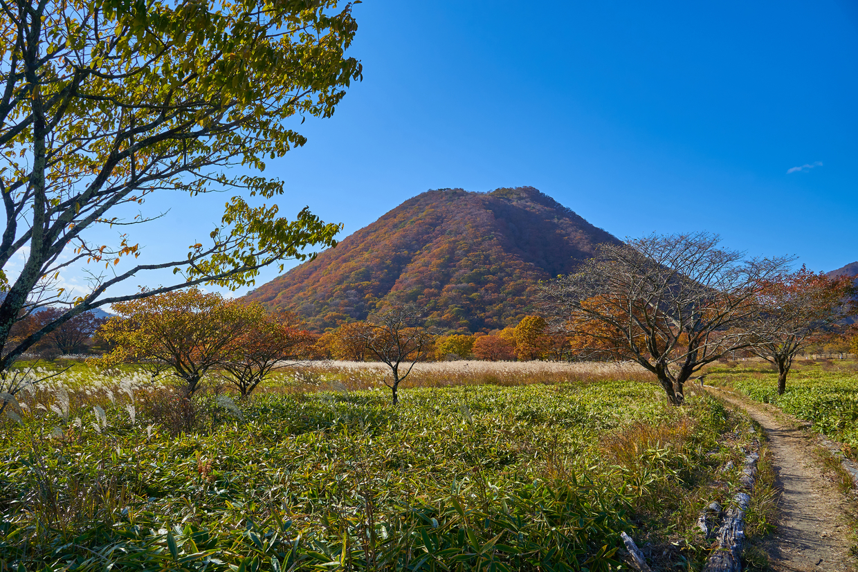 群馬 渋川の旅館 子連れ カップルにおすすめの人気宿泊施設をご紹介 おすすめ旅行を探すならトラベルブック Travelbook