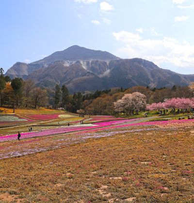 埼玉 秩父のホテル5選 おすすめのホテルや観光に人気の宿泊施設を紹介 おすすめ旅行を探すならトラベルブック Travelbook 埼玉 秩父のホテル5選 おすすめのホテルや観光に人気の宿泊施設を紹介 おすすめ旅行を探すならトラベルブック Travelbook