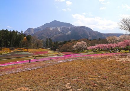 埼玉 秩父の旅館5選 人気の温泉宿や子連れにおすすめの旅館を紹介 おすすめ旅行を探すならトラベルブック Travelbook 埼玉 秩父の旅館5選 人気の温泉宿や子連れにおすすめの旅館を紹介 おすすめ旅行を探すならトラベルブック Travelbook