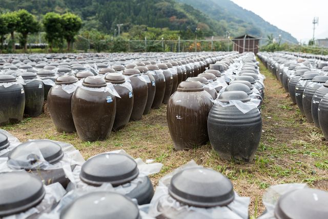 黒酢おすすめ15選*人気商品を比較