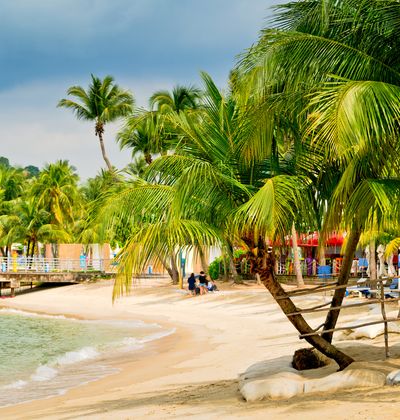 シンガポール セントーサ島のおすすめホテル選 口コミ評価の高い宿をご紹介 おすすめ旅行を探すならトラベルブック Travelbook シンガポール セントーサ島のおすすめホテル選 口コミ評価の高い宿をご紹介 おすすめ旅行を探すならトラベルブック Travelbook