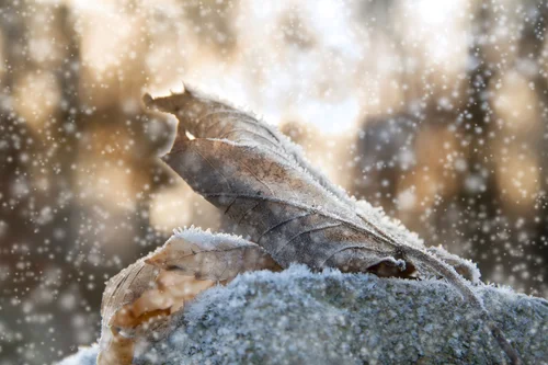 くすみの原因を知れば改善策がわかる すぐできる対処法も紹介 自分らしい便利な暮らしを トラベルブック Travelbook