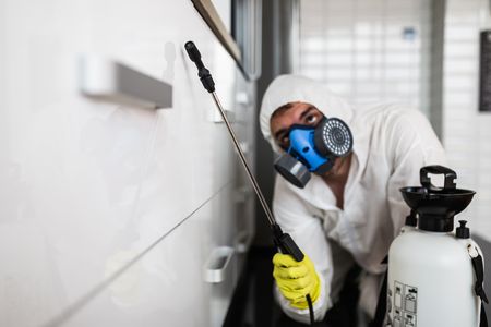 チャタテムシの駆除方法や発生を防ぐための対策方法を徹底調査 トラブルブック