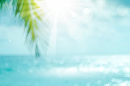 ハダニの駆除方法は 発生する原因とエコな予防方法や対策も解説 トラブルブック