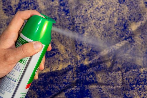 鳩駆除の費用相場 業者に依頼する場合の値段はいくらぐらい トラブルブック