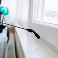 青虫を駆除したい 有効な撃退方法や予防方法とは 徹底調査しました 自分らしい便利な暮らしを トラベルブック Travelbook 青虫を駆除したい 有効な撃退方法や予防方法とは 徹底調査しました 自分らしい便利な暮らしを トラベルブック Travelbook