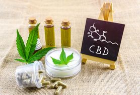 合法大麻cdbとは 日本における法規制と人気のcbd製品 自分らしい便利な暮らしを トラベルブック Travelbook