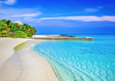 シドニー 世界が羨む絶景 シドニーでおすすめの人気ビーチ5選 おすすめ旅行を探すならトラベルブック Travelbook シドニー 世界が羨む絶景 シドニーでおすすめの人気ビーチ5選 おすすめ旅行を探すならトラベルブック Travelbook
