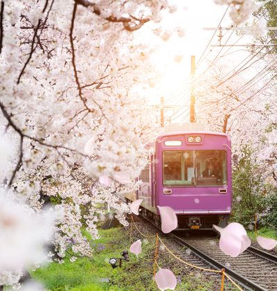 京都駅周辺のおすすめ子連れホテル選 口コミ評判の高い宿をご紹介 子育て情報を探すならトラベルブックファミリー 京都駅周辺のおすすめ子連れホテル選 口コミ評判の高い宿をご紹介 子育て情報を探すならトラベルブックファミリー