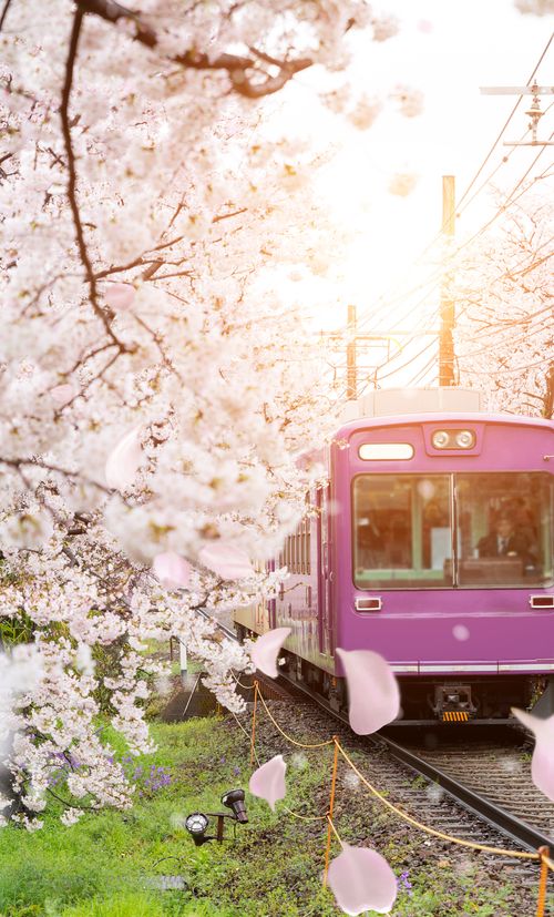 京都駅周辺のおすすめ子連れホテル選 口コミ評判の高い宿をご紹介 子育て情報を探すならトラベルブックファミリー
