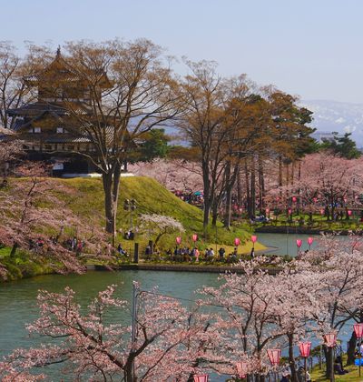 新潟 上越のおすすめ子連れホテル 口コミ評判の高い宿をご紹介 子育て情報を探すならトラベルブックファミリー 新潟 上越のおすすめ子連れホテル 口コミ評判の高い宿をご紹介 子育て情報を探すならトラベルブックファミリー