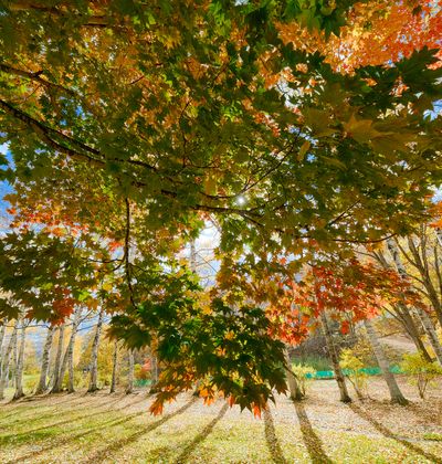 北海道 北見のおすすめ子連れホテル 口コミ評判の高い宿をご紹介 子育て情報を探すならトラベルブックファミリー 北海道 北見のおすすめ子連れホテル 口コミ評判の高い宿をご紹介 子育て情報を探すならトラベルブックファミリー
