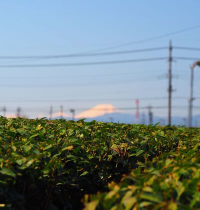 埼玉 入間のおすすめ子連れホテル 安いのに快適な宿もご紹介 子育て情報を探すならトラベルブックファミリー 埼玉 入間のおすすめ子連れホテル 安いのに快適な宿もご紹介 子育て情報を探すならトラベルブックファミリー