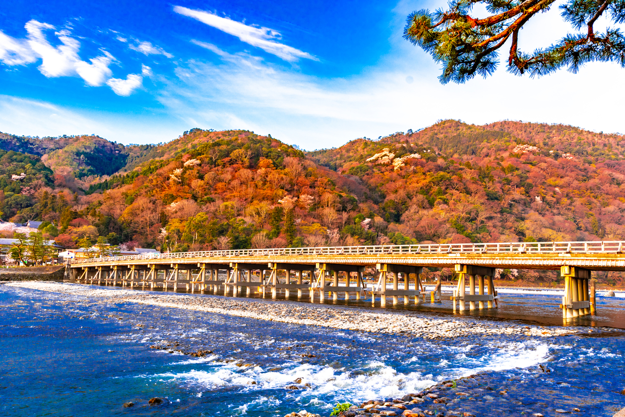 嵐山周辺のおすすめ子連れ旅館6選 口コミ評判の高い宿をご紹介 子育て情報を探すならトラベルブックファミリー