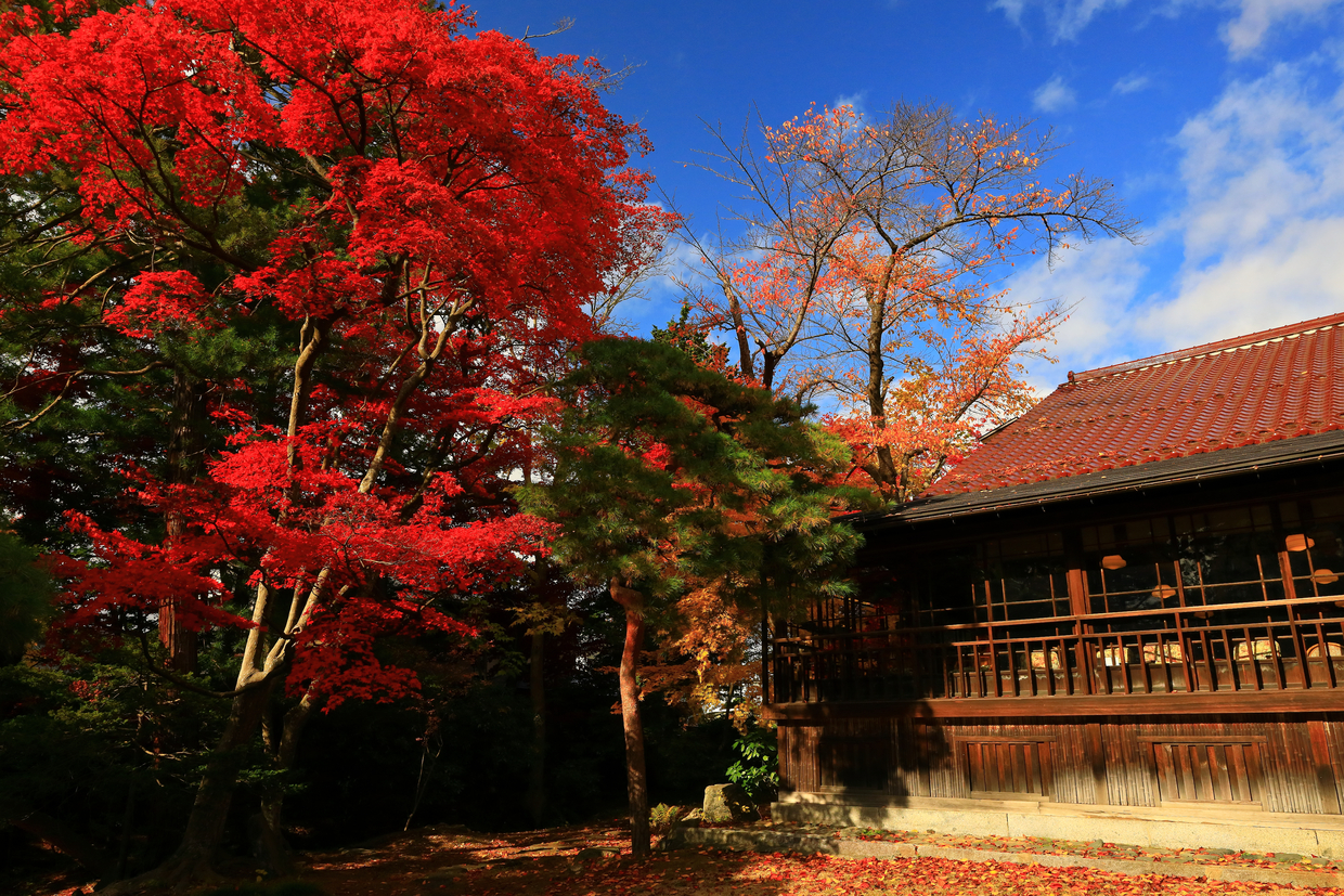 盛岡周辺のおすすめ子連れ旅館5選 口コミ評判の高い宿をご紹介 子育て情報を探すならトラベルブックファミリー