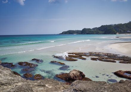 伊豆のおすすめ子連れ旅館選 口コミ評判の高い宿をご紹介 子育て情報を探すならトラベルブックファミリー 伊豆のおすすめ子連れ旅館選 口コミ評判の高い宿をご紹介 子育て情報を探すならトラベルブックファミリー