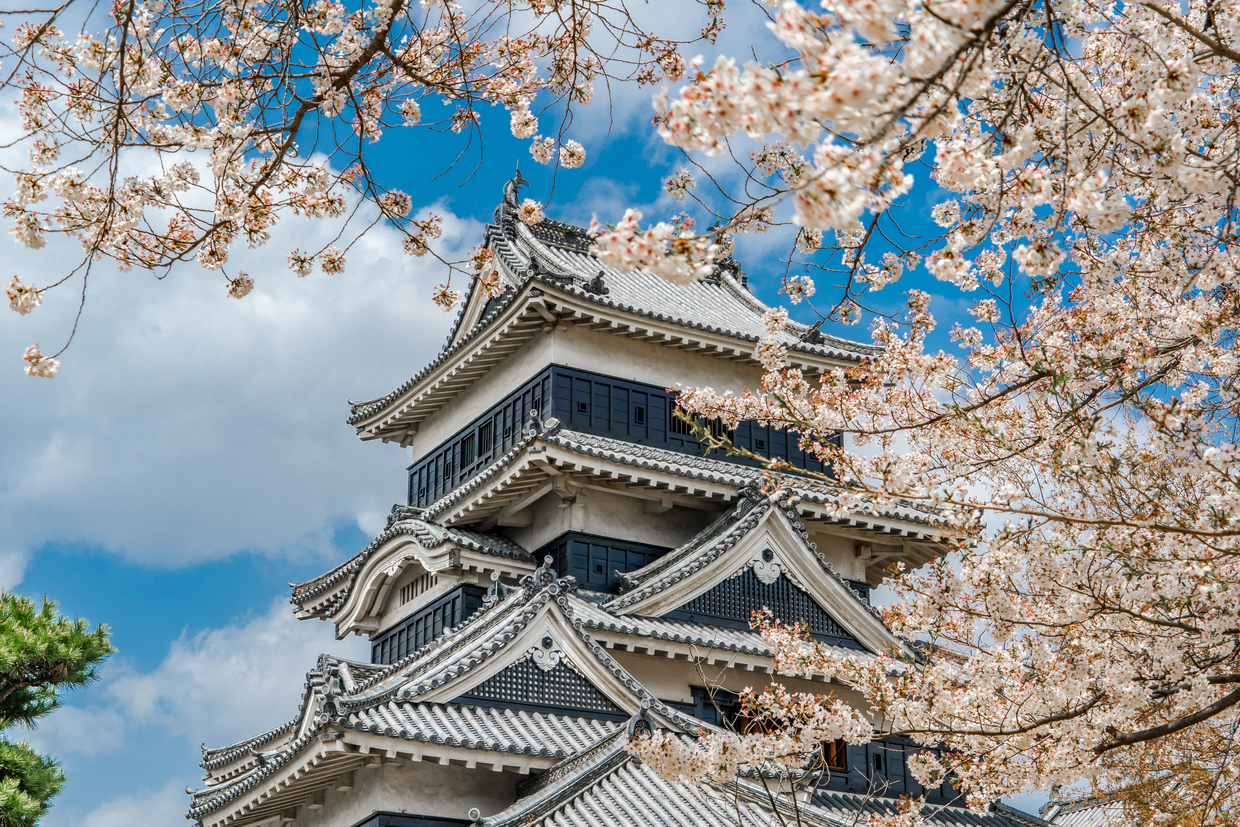 松本のおすすめ子連れ旅館選 口コミ評判の高い宿をご紹介 子育て情報を探すならトラベルブックファミリー