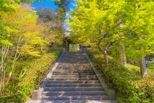 鎌倉のおすすめ子連れ旅館 口コミ評判の高い宿をご紹介 子育て情報を探すならトラベルブックファミリー