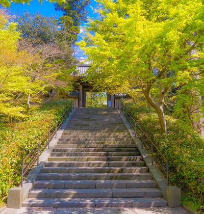 鎌倉のおすすめ子連れ旅館 口コミ評判の高い宿をご紹介 子育て情報を探すならトラベルブックファミリー 鎌倉のおすすめ子連れ旅館 口コミ評判の高い宿をご紹介 子育て情報を探すならトラベルブックファミリー