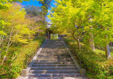 鎌倉のおすすめ子連れ旅館 口コミ評判の高い宿をご紹介 子育て情報を探すならトラベルブックファミリー 鎌倉のおすすめ子連れ旅館 口コミ評判の高い宿をご紹介 子育て情報を探すならトラベルブックファミリー