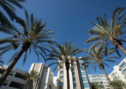 アナハイムのおすすめ格安ホテル選 口コミ評判の高い宿をご紹介 おすすめ旅行を探すならトラベルブック Travelbook アナハイムのおすすめ格安ホテル選 口コミ評判の高い宿をご紹介 おすすめ旅行を探すならトラベルブック Travelbook