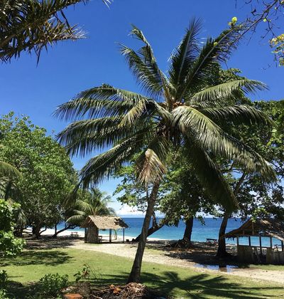 ソロモン諸島 ホニアラのおすすめホテル7選 口コミ評判の高い宿をご紹介 おすすめ旅行を探すならトラベルブック Travelbook ソロモン諸島 ホニアラのおすすめホテル7選 口コミ評判の高い宿をご紹介 おすすめ旅行を探すならトラベルブック Travelbook