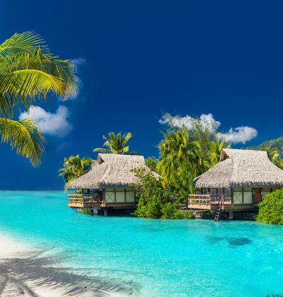 フィジーのおすすめホテルランキング 口コミ評判の高い宿をご紹介 おすすめ旅行を探すならトラベルブック Travelbook フィジーのおすすめホテルランキング 口コミ評判の高い宿をご紹介 おすすめ旅行を探すならトラベルブック Travelbook