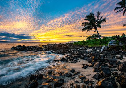 マウイ島のおすすめ子連れホテル選 口コミ評価の高い宿をご紹介 子育て情報を探すならトラベルブックファミリー マウイ島のおすすめ子連れホテル選 口コミ評価の高い宿をご紹介 子育て情報を探すならトラベルブックファミリー