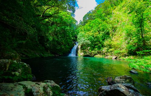 鹿児島のホテル 一度は泊まりたい人気宿の宿泊予約 鹿児島のホテル 一度は泊まりたい人気宿の宿泊予約